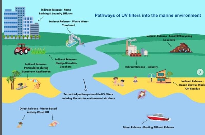 UV filters into the marine environment 